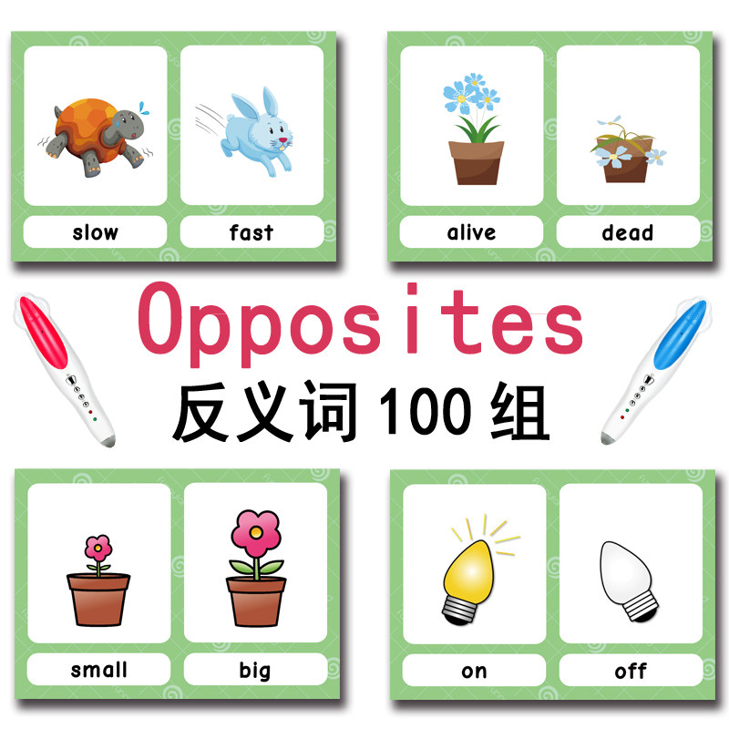 100 Cartões de Vocabulário em  - Kids Toys Idea avaliação e preço