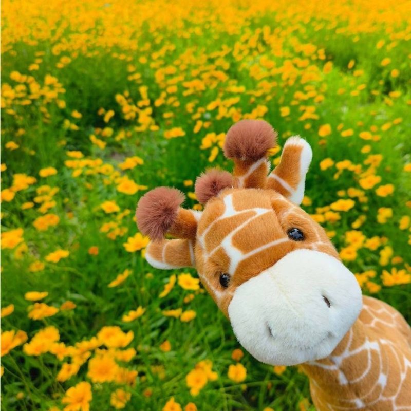 Brinquedo pelúcia girafa muito - Kids Toys Very avaliação e preço